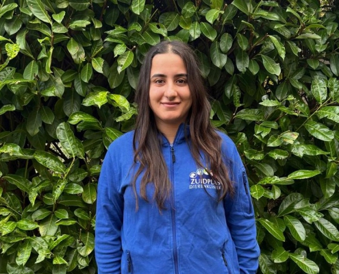 WhatsApp Image 2026-01-02 at 15.43.44